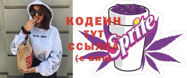 ECSTASY Алзамай