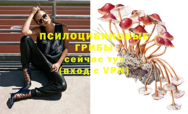 ECSTASY Алзамай