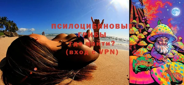 ECSTASY Алзамай