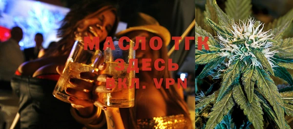 ECSTASY Алзамай