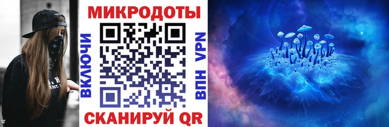 дарк нет как зайти  блэк спрут ссылка  Талица  Галлюциногенные грибы Magic Shrooms 